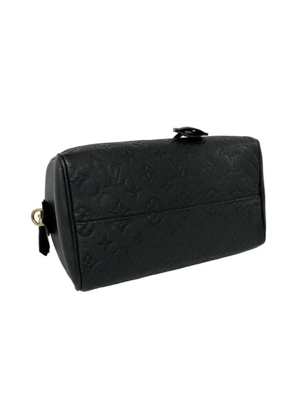 Louis Vuitton brand model